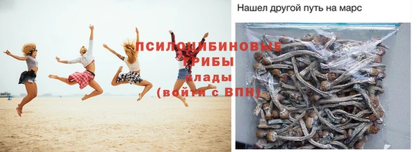прущая мука Аркадак