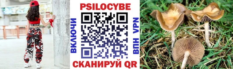 что такое наркотик Мелеуз Галлюциногенные грибы GOLDEN TEACHER